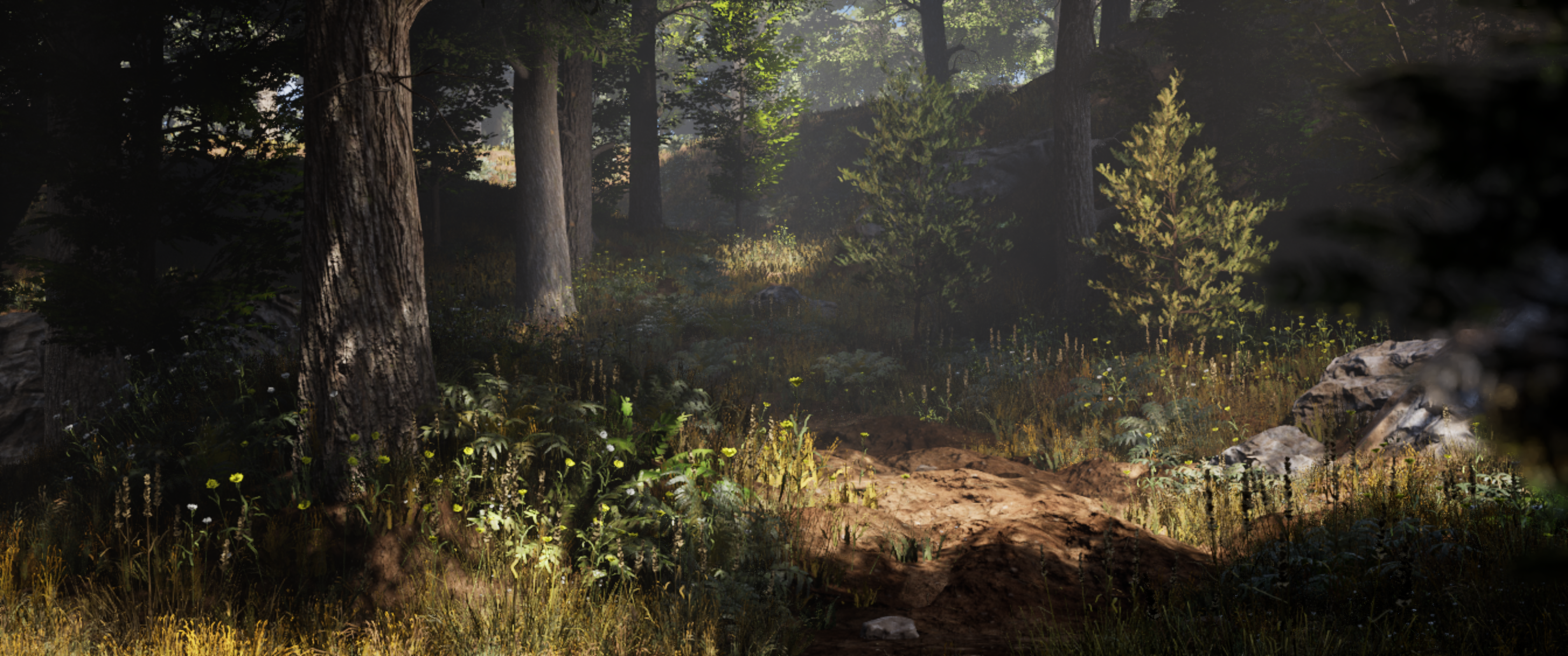 Eastern White Pine Forest — lush forested environment